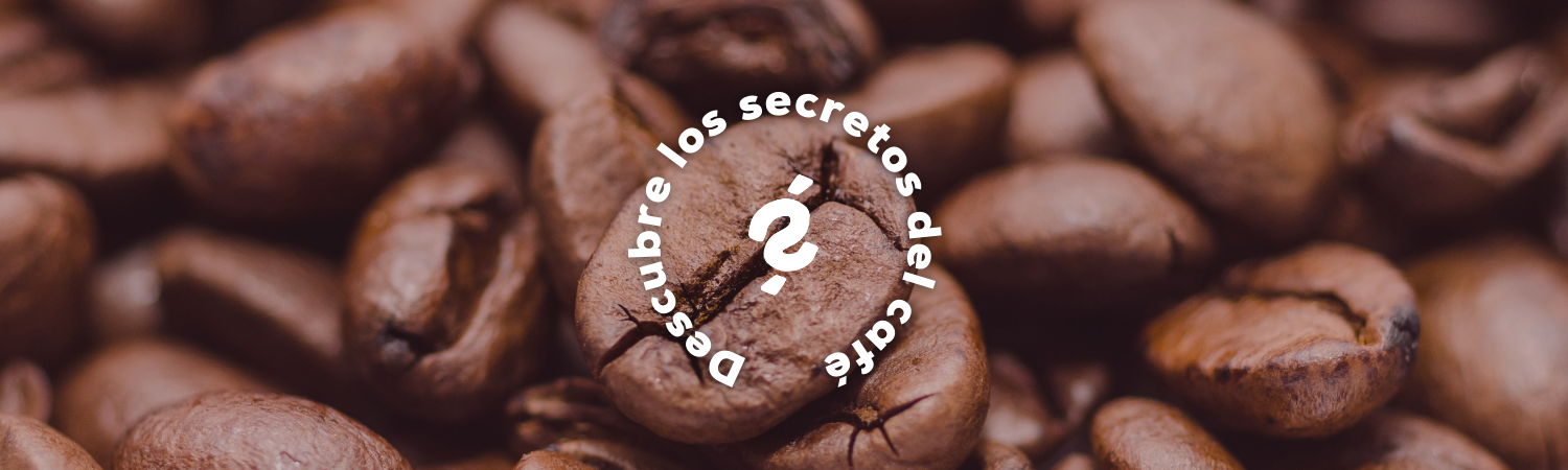 Descubre los Secretos del Café con El Mundo del Café