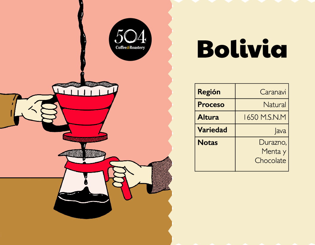 504 Coffe&Roastery - Bolivia